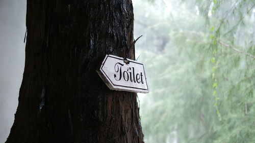Information sign on tree trunk in forest