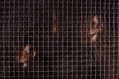 Close-up of painting in cage