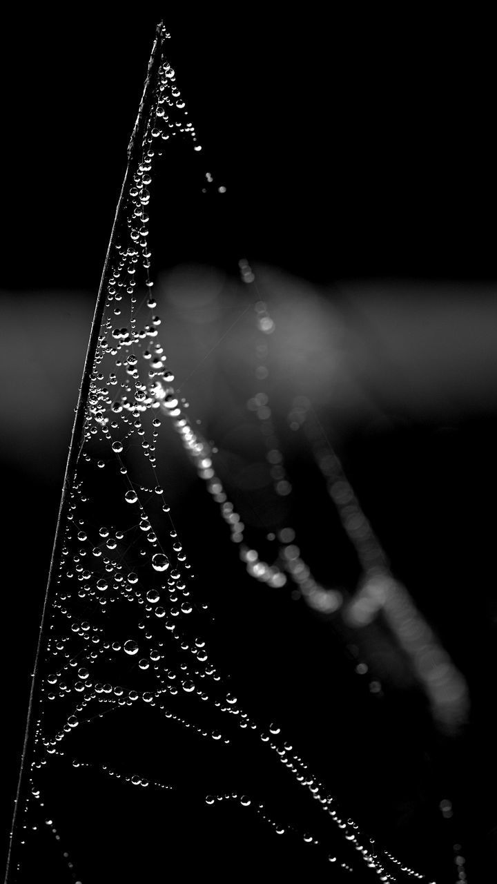 CLOSE-UP OF WATER DROPS ON BLACK