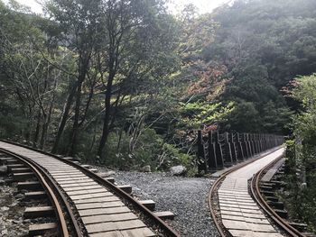 Railroad tracks amidst trees in forest