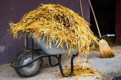 Hay in wheelbarrow against wall