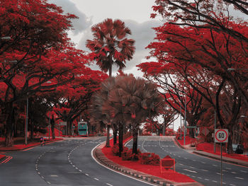 Road by trees against sky in city