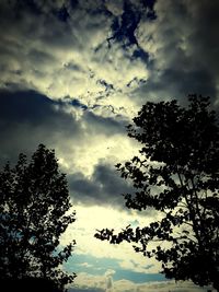 Low angle view of silhouette trees against sky