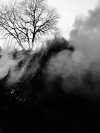 Bare trees against cloudy sky