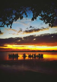 Scenic view of sea at sunset