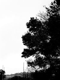 Scenic view of trees against clear sky