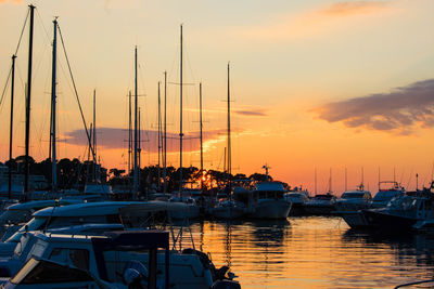 Sailboats in marina at sunset