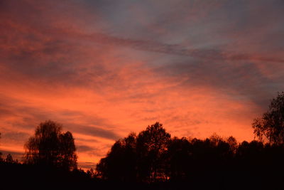 Low angle view of silhouette trees against dramatic sky