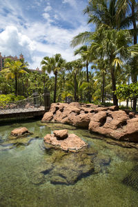 Scenic view of rock formation and trees against sky