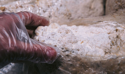 Close-up of hand by sea