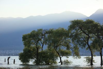 Scenic view of mountains