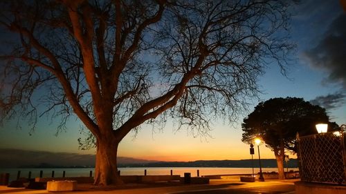 Silhouette tree by sea against sky during sunset