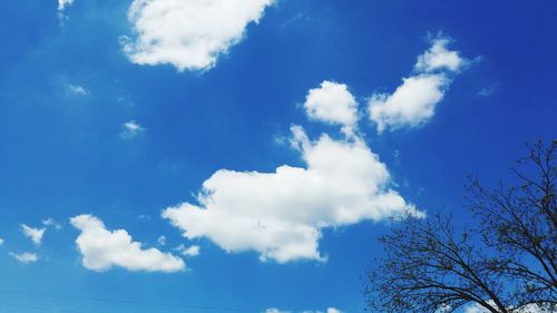 Low angle view of trees against blue sky