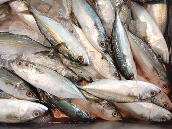 Full frame shot of fish for sale in market