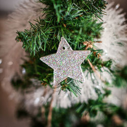 Close-up of christmas tree