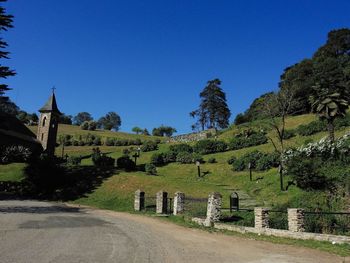 Trees on landscape against clear blue sky