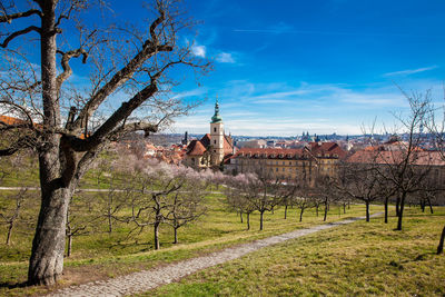 Prague city seen from the petrin gardens at the begining of spring