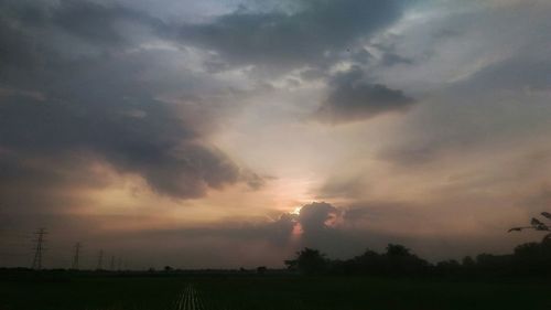 Silhouette trees on field against sky at sunset