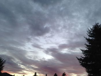 Silhouette of trees against cloudy sky