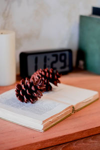 Close-up of pinecone on book