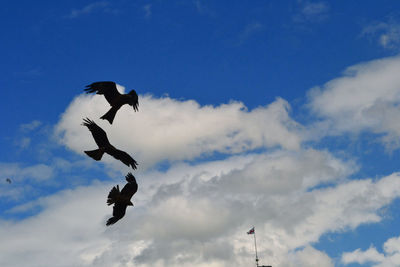 Low angle view of bird flying against sky