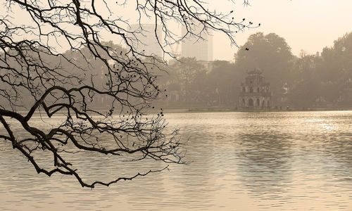 Bare tree by lake against sky