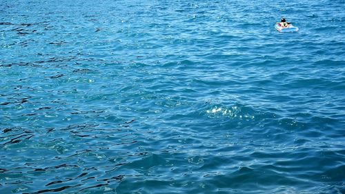 Reflection of trees in water