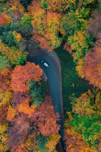 High angle view of trees by road during autumn