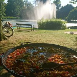 Scenic view of lake in park