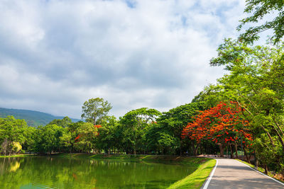 Scenic view of lake by trees against sky