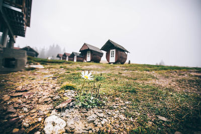 Houses on field against sky