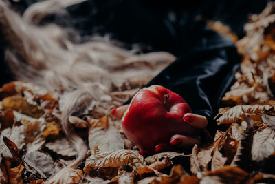 Cropped hand of woman holding food