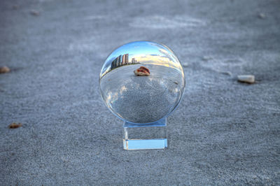 Seashell through a crystal ball on north naples beach at sunrise in naples, florida