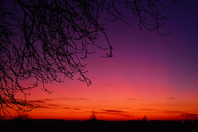 Silhouette bare tree against sky during sunset