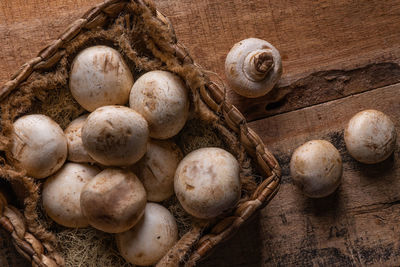 High angle view of mushrooms