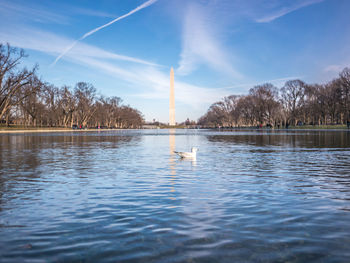 View of ducks swimming in lake