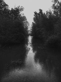 Reflection of trees in river