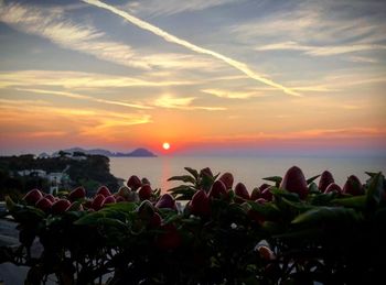 Scenic view of sea against orange sky