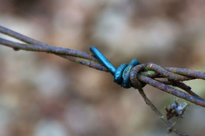 Close-up of rope tied on rusty metal chain