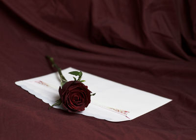 High angle view of rose on table