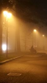 Illuminated street lights at night