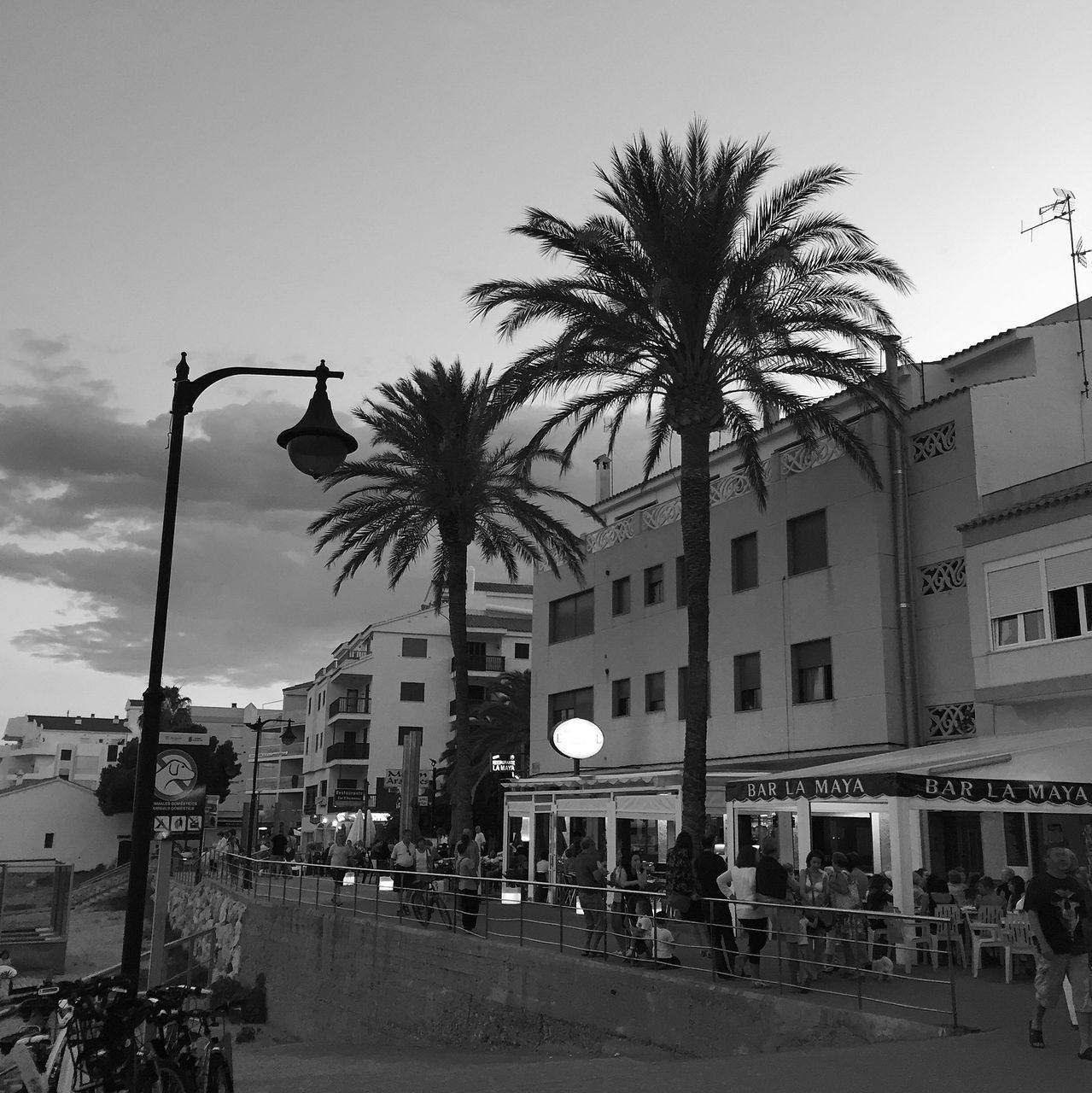 building exterior, architecture, built structure, street, palm tree, tree, street light, sky, city, road, large group of people, car, city life, incidental people, transportation, land vehicle, city street, outdoors, clear sky