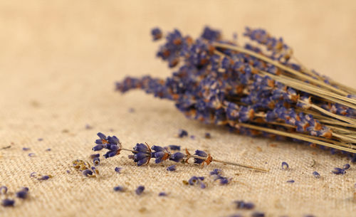 Close-up of lavenders on jute fabric