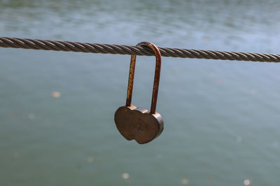 hanging