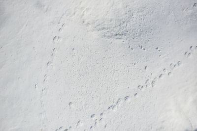 High angle view of snow on land