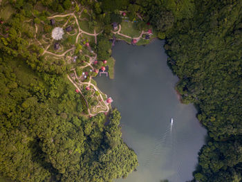 Aerial view of lake amidst trees