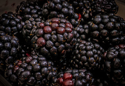 Close-up of blackberries