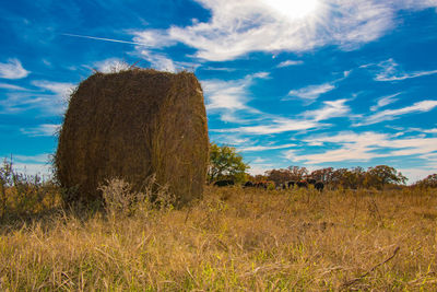 Hay bales on field against sky