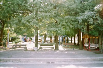 View of trees in park