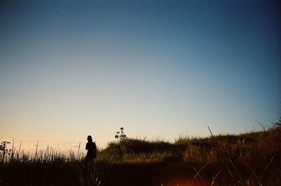 Scenic view of landscape against clear sky